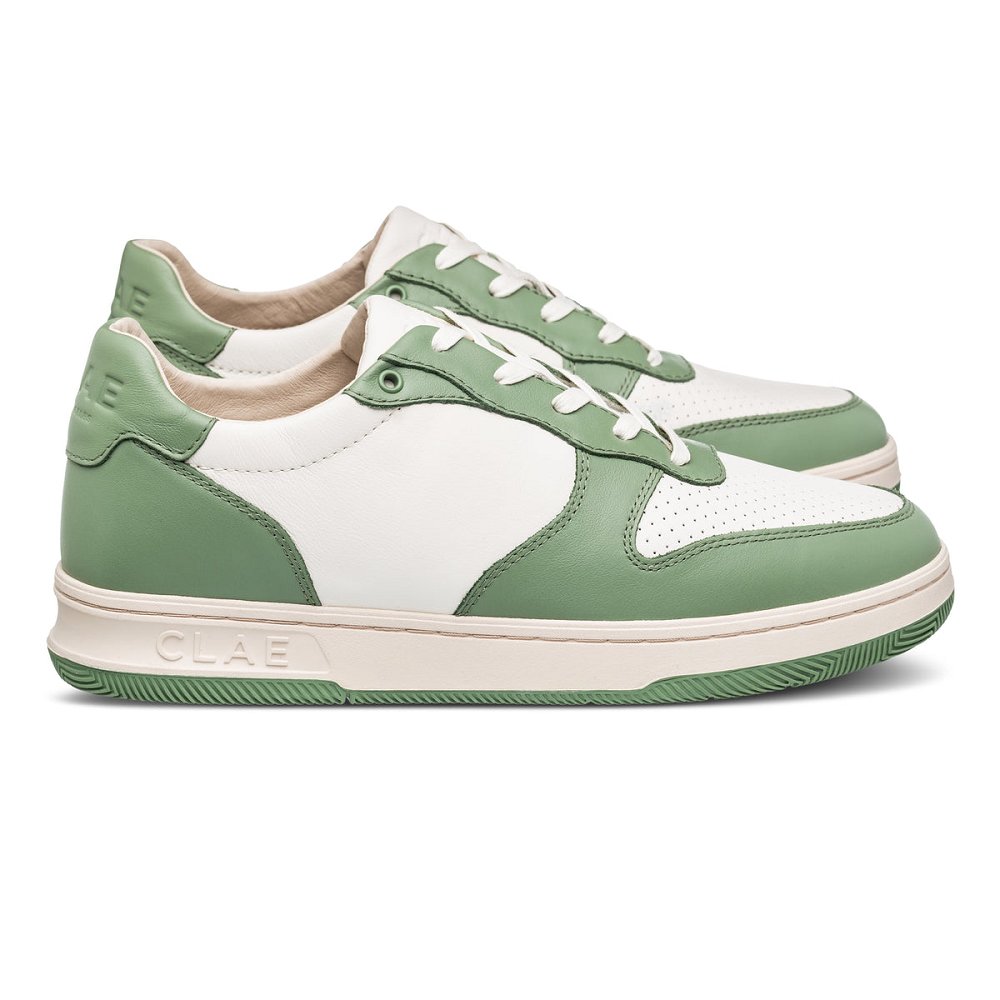 CLAE MALONE Shoes Mens USA568-Y14 In Menta Leather Off White